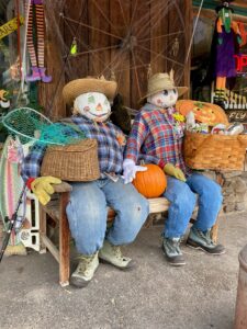 Scarecrow Stroll Business Winners