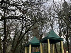 Aunt Caroline's Park to be Temporarily Closed on Tuesday, February 13